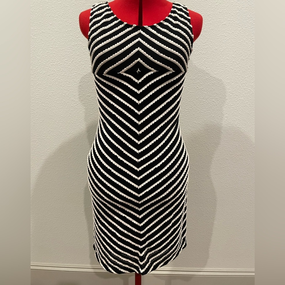 Max Studio fitted dress